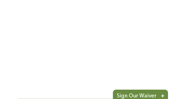 waiver widget